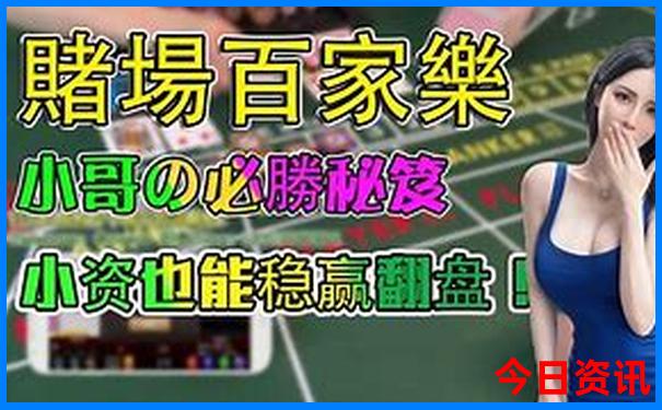 青岛海鸥夏天去哪儿了