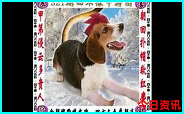 暑假带孩子去哪儿玩凉快