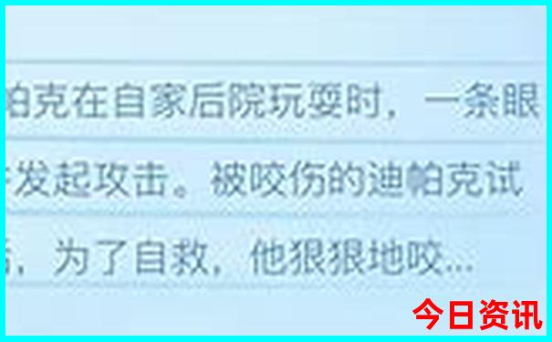 2025新澳门天天免费准大全谜语